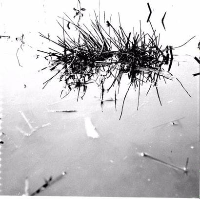 Georges JONIAUX (1932-1987)


Camargue Inconnue.

Tirage...