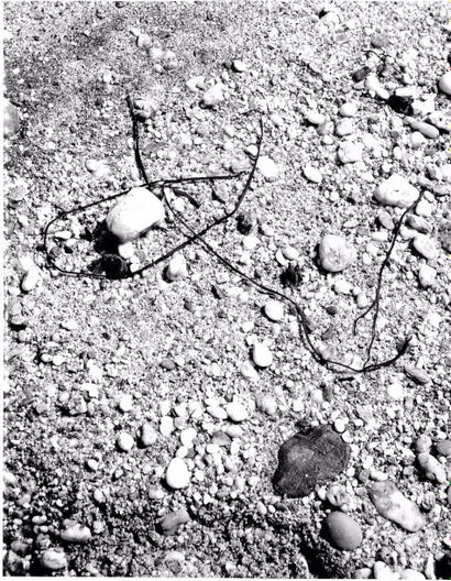 Georges JONIAUX (1932-1987)


Deux tirages...