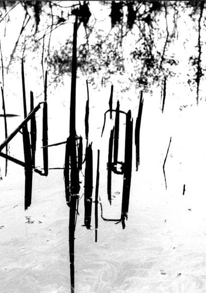 Georges JONIAUX (1932-1987)


Broderie de...