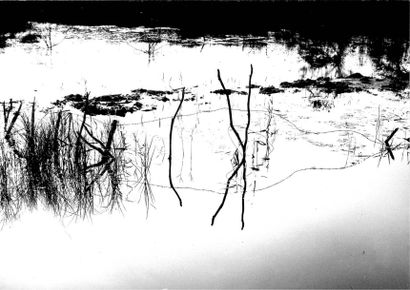 Georges JONIAUX (1932-1987)


Camargue inconnue,...