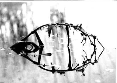 Georges JONIAUX (1932-1987)


Broderie de...