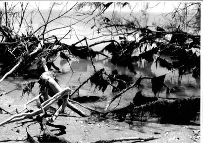 Georges JONIAUX (1932-1987)


Trois tirages...