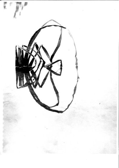 Georges JONIAUX (1932-1987)


