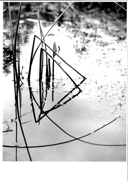 Georges JONIAUX (1932-1987)


