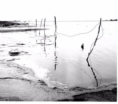 Georges JONIAUX (1932-1987)


Camargue Inconnue,...