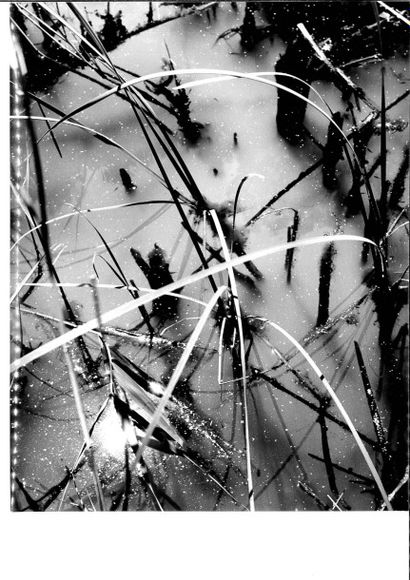 Georges JONIAUX (1932-1987)


Deux tirages...