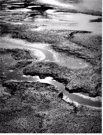 Georges JONIAUX (1932-1987)


Plage, Sable,...