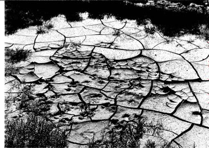 Georges JONIAUX (1932-1987)


Ecorce et terre...