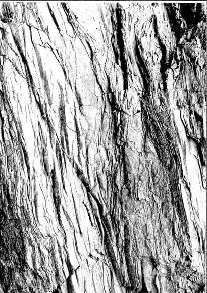 Georges JONIAUX (1932-1987)


Ecorce, Sable...