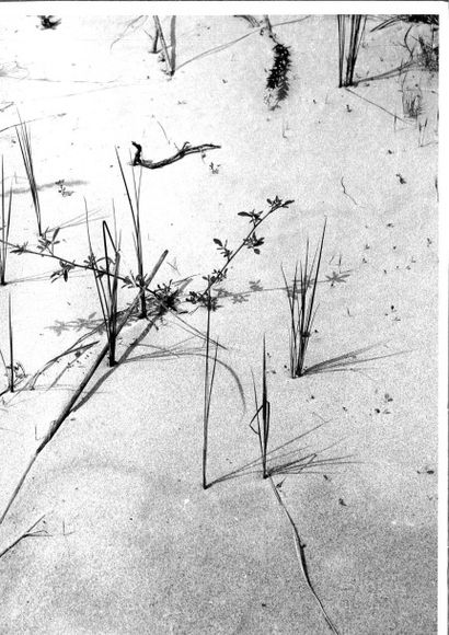 Georges JONIAUX (1932-1987)


Brindilles,...
