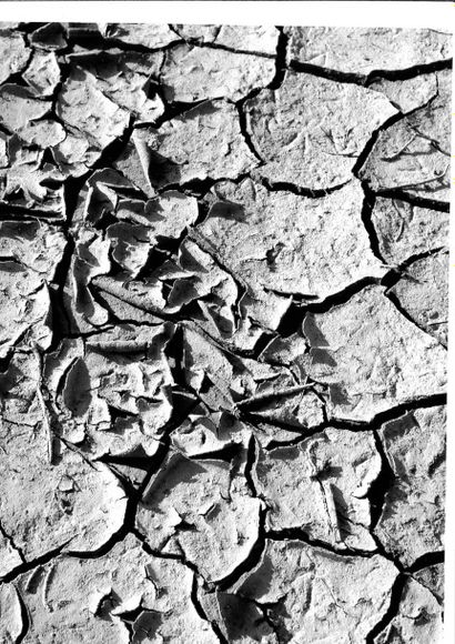 Georges JONIAUX (1932-1987)


Brindilles,...