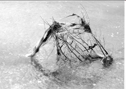 Georges JONIAUX (1932-1987)


Camargue Inconnue.

Tirage...