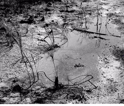 Georges JONIAUX (1932-1987)


Deux tirages...