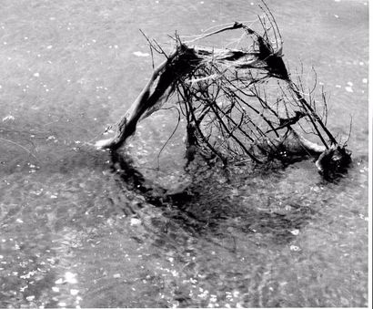 Georges JONIAUX (1932-1987)


Deux tirages...