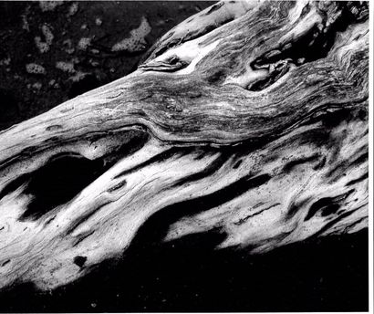 Georges JONIAUX (1932-1987)


Camargue inconnue,...