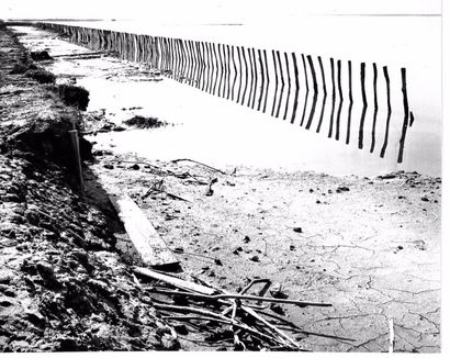 Georges JONIAUX (1932-1987)


Camargue inconnue,...