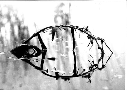 Georges JONIAUX (1932-1987)


Deux tirages...
