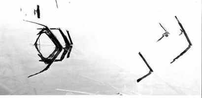 Georges JONIAUX (1932-1987)


Camargue Inconnue,...