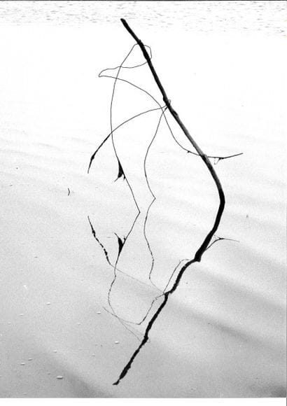 Georges JONIAUX (1932-1987)


Tirage photographique...