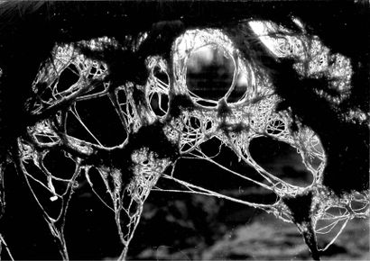 Georges JONIAUX (1932-1987)


Cinq tirages...