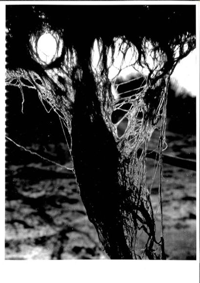 Georges JONIAUX (1932-1987)


Cinq tirages...
