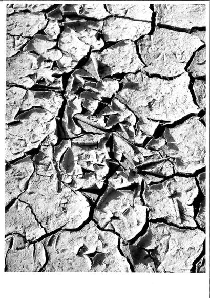 Georges JONIAUX (1932-1987)


Trois tirages...