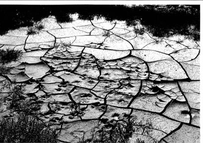 Georges JONIAUX (1932-1987)


Camargue inconnue,...