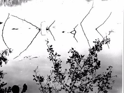 Georges JONIAUX (1932-1987)


Broderie de...