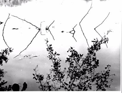 Georges JONIAUX (1932-1987)


Broderie de...