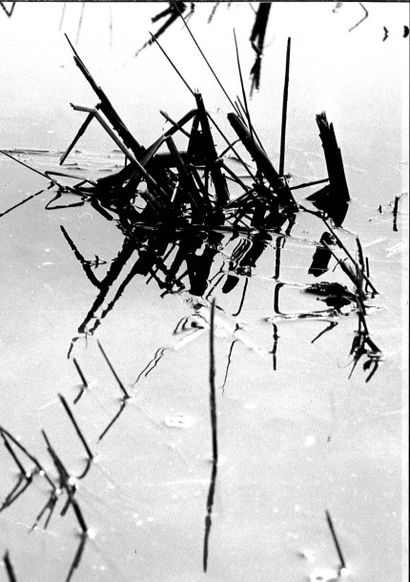 Georges JONIAUX (1932-1987)


Forme insolite...