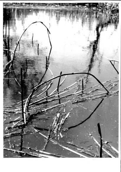Georges JONIAUX (1932-1987)


Deux tirages...