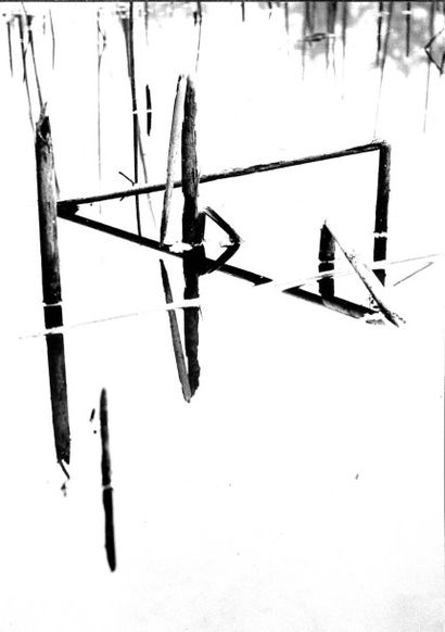 Georges JONIAUX (1932-1987)


Deux tirages...