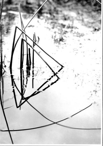 Georges JONIAUX (1932-1987)


