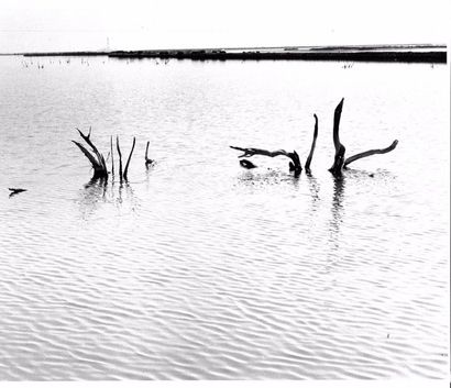 Georges JONIAUX (1932-1987)


Deux tirages...