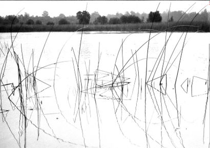 Georges JONIAUX (1932-1987)


