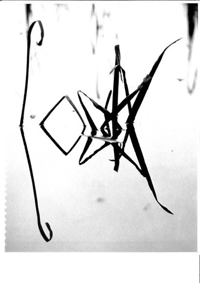 Georges JONIAUX (1932-1987)


