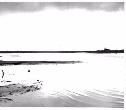 Georges JONIAUX (1932-1987)


Deux tirages...