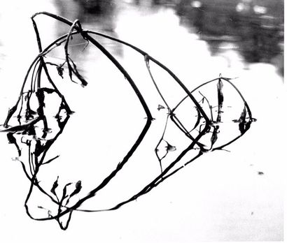 Georges JONIAUX (1932-1987)


