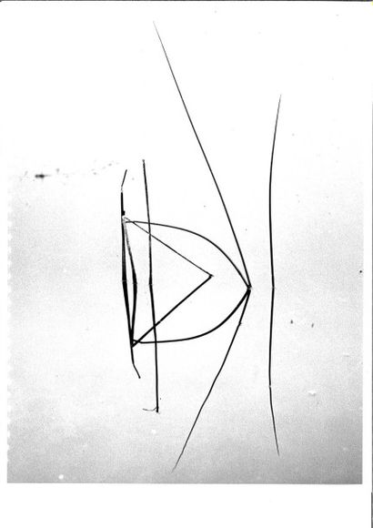 Georges JONIAUX (1932-1987)


