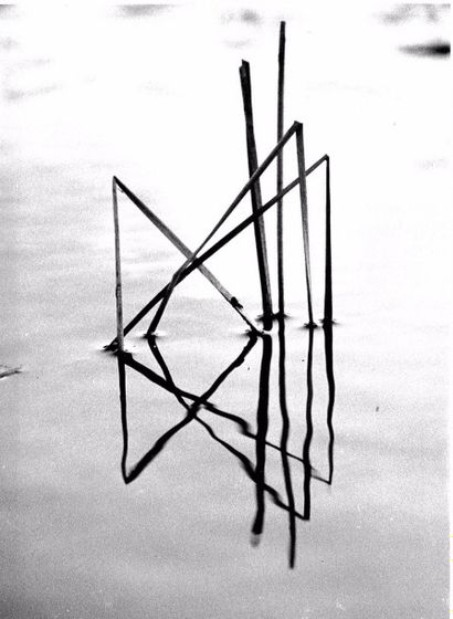 Georges JONIAUX (1932-1987)


