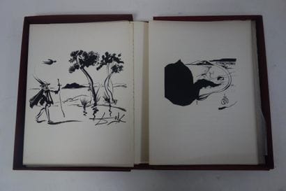 Salvador DALI (1904-1989)


Babaouo c'est...