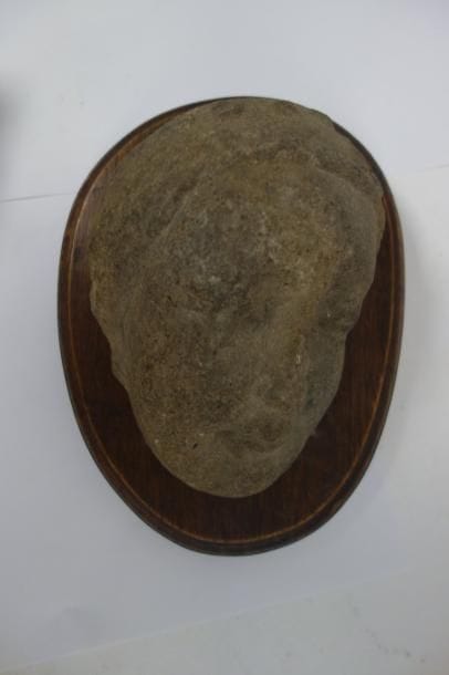 Fragment de tête au bandeau.

Pierre grise....
