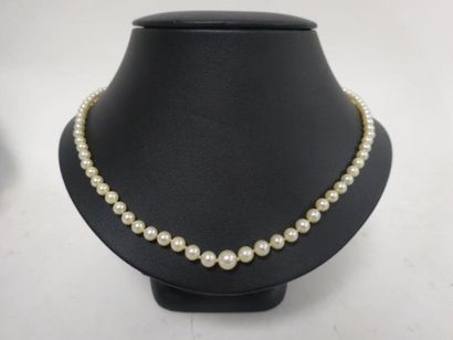 Collier de perles. Le fermoir en or blanc...