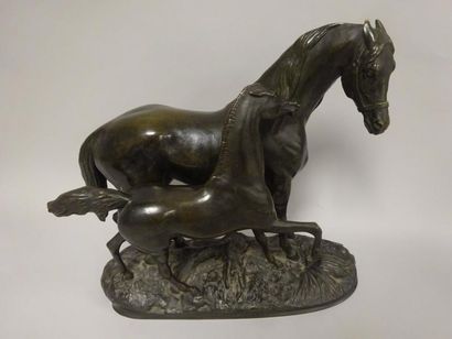 D'après Pierre-Jules MÊNE (1810-1879)


Jument...