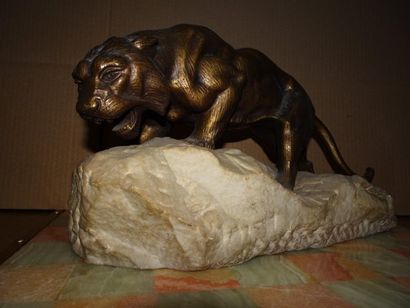 D'après ANDREY


Tigre sur un rocher.

Epreuve...