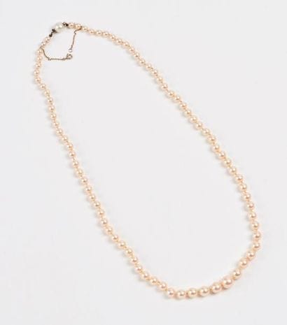 Collier de perles de culture blanches en...