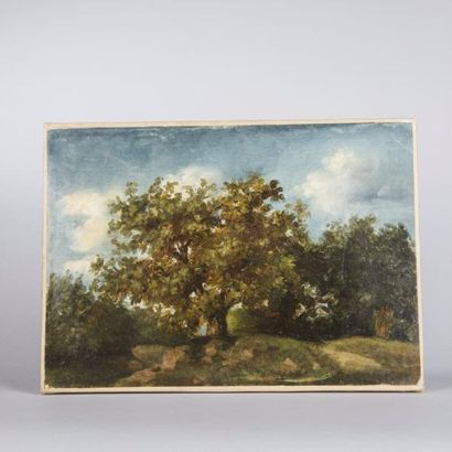 École FRANÇAISE du XIXème siècle

Arbre en...