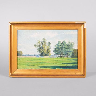 Arthur JACQUIN (1851-1932)

Paysage de kabylie.

Huile...