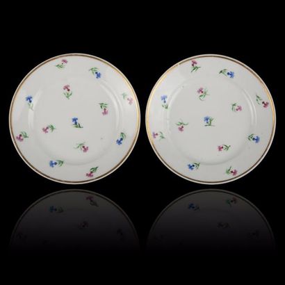 PARIS.

Paire d'assiettes en porcelaine à...