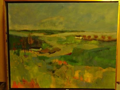 E. PEYROL


Marais poitevin.

Huile sur toile.

Signée...